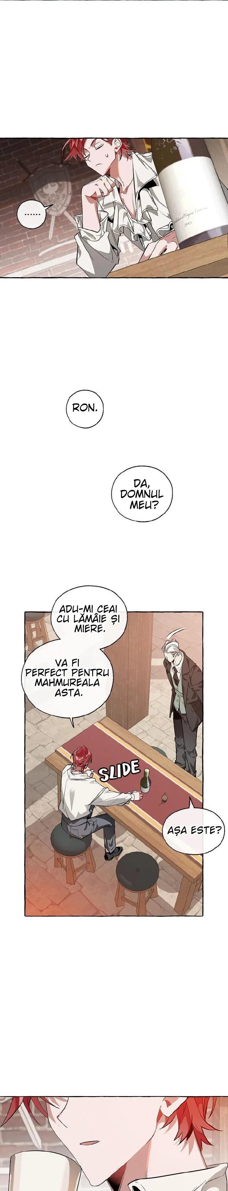 Lout of Count’s Family - Capitolul 21