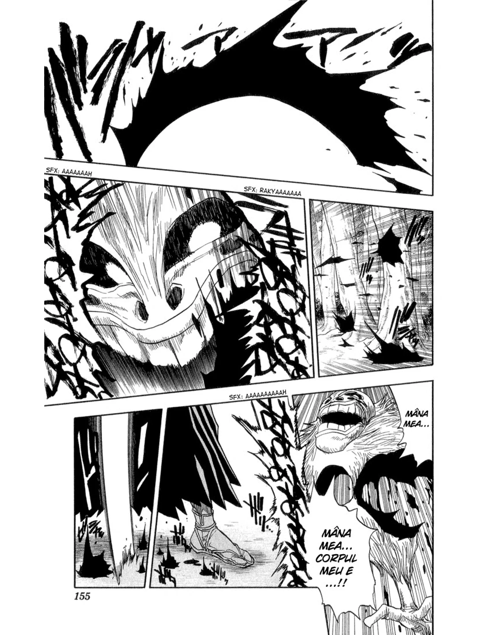 Bleach - Capitolul 24