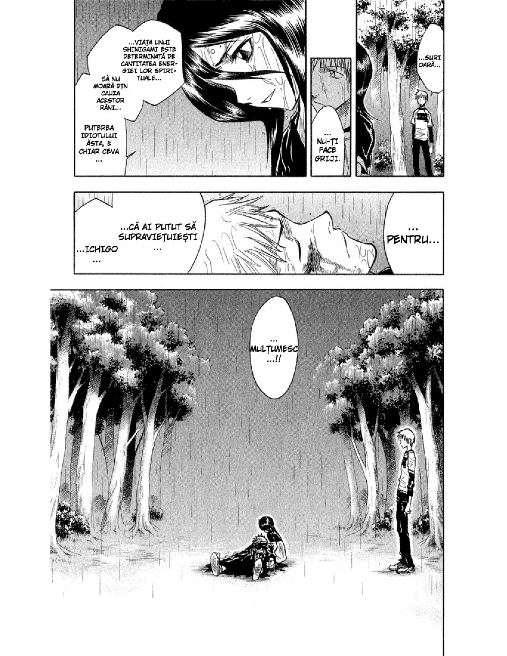 Bleach - Capitolul 24